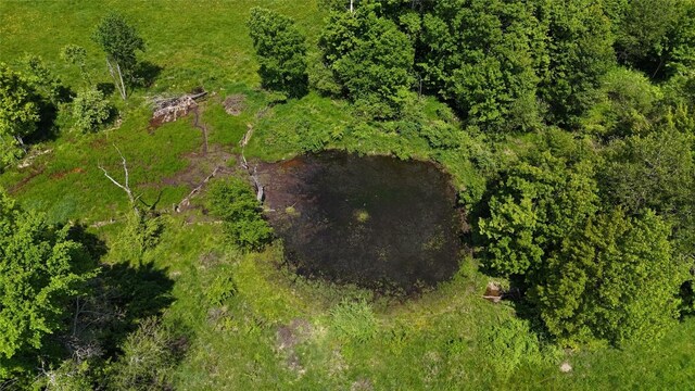 21641 Irish Rd, Edinboro, PA 16412 - photo 29