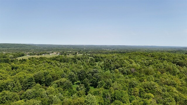 21641 Irish Rd, Edinboro, PA 16412 - photo 26