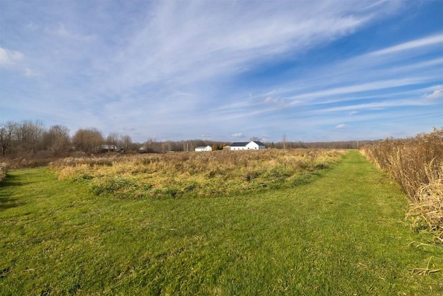 view of local wilderness with a rural view