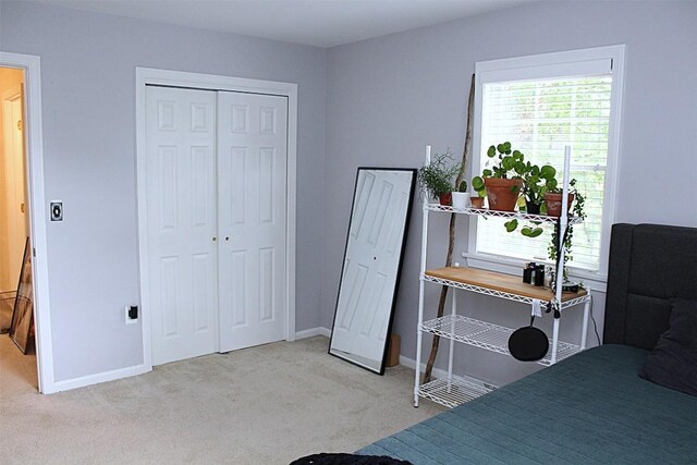 1351 Top Rd, Erie, PA 16505 - carpeted bedroom with baseboards and a closet