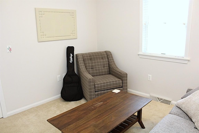 1351 Top Rd, Erie, PA 16505 - living area with carpet