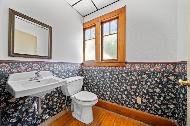 bathroom with toilet, wood-type flooring, and sink