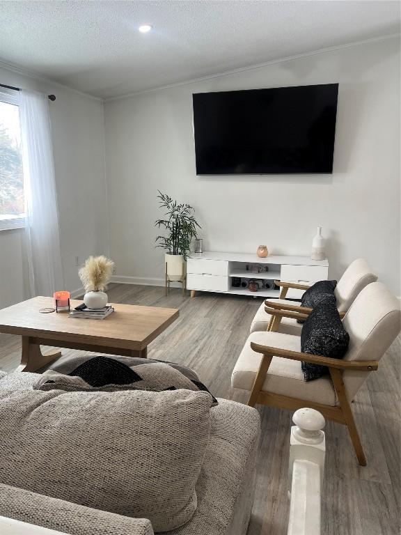 living area with crown molding, a textured ceiling, and wood finished floors