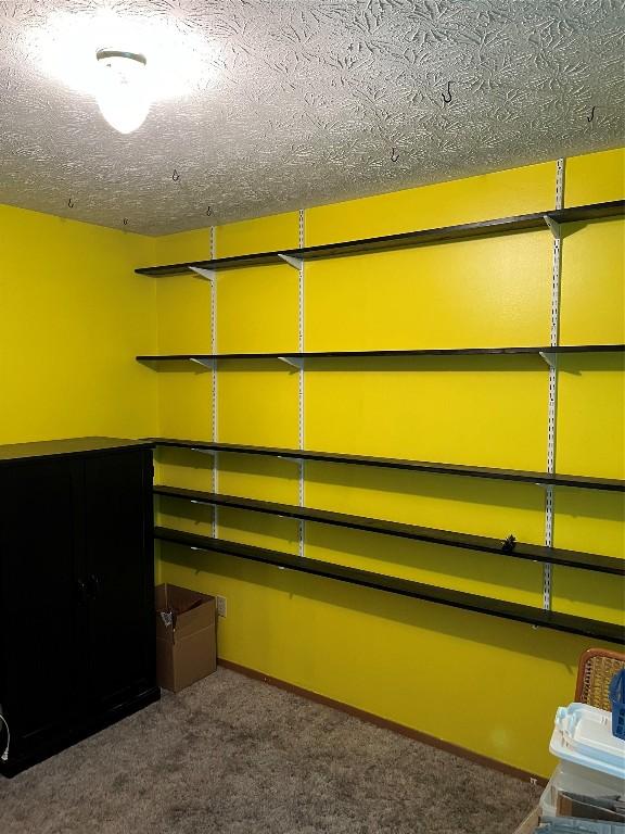 6915 Snodgrass Rd, Jamestown, PA 16134 - view of storage