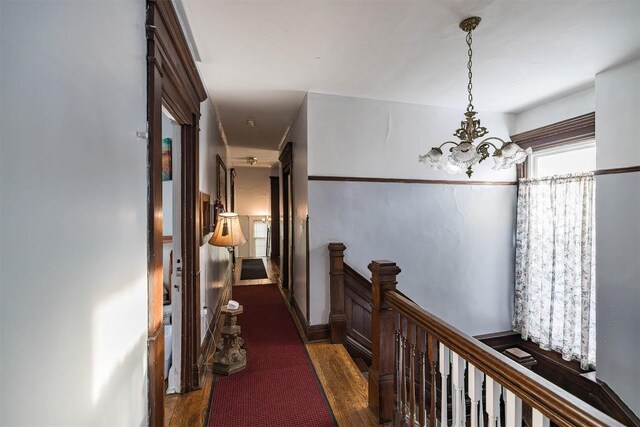 corridor with a notable chandelier and dark wood-type flooring