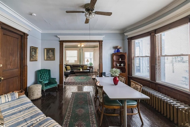 dining area with crown molding, radiator heating unit, ceiling fan, and dark hardwood / wood-style flooring