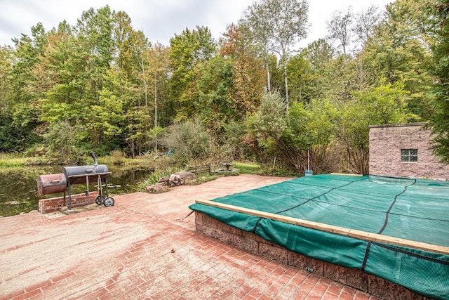 view of pool with a patio and grilling area