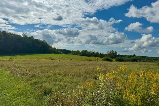 Hill Rd, Erie, PA 16442 - photo 1