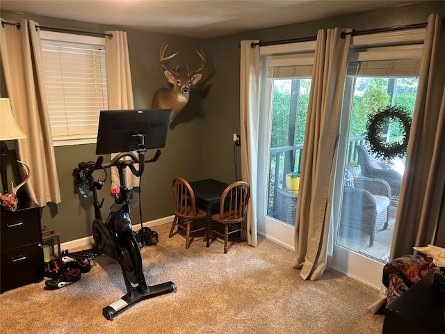 103 S Church St, Linesville, PA 16424 - workout area with carpet floors and baseboards