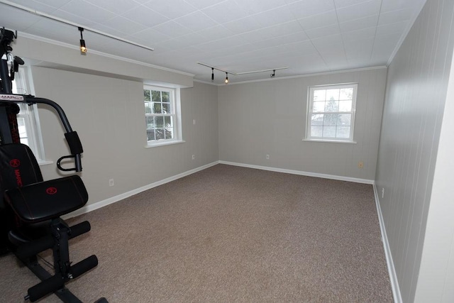 workout area with ornamental molding, track lighting, carpet flooring, and baseboards