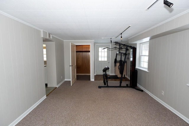 workout area with ornamental molding, carpet, and baseboards