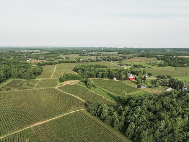 aerial view featuring a rural view