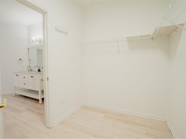 spacious closet featuring sink and light wood-type flooring