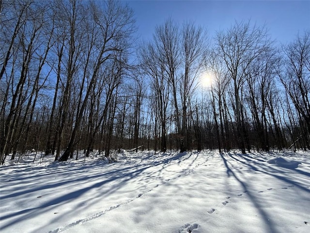 view of snowy yard