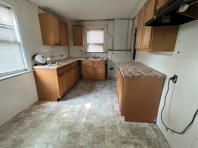 2022 Cottage St, Erie, PA 16503 - kitchen with under cabinet range hood, brown cabinets, and a sink