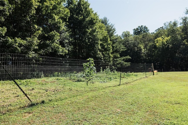 14790 Spring Creek Rd, Titusville, PA 16354 - photo 10