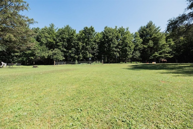 14790 Spring Creek Rd, Titusville, PA 16354 - photo 9