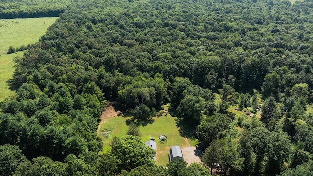 14790 Spring Creek Rd, Titusville, PA 16354 - photo 41