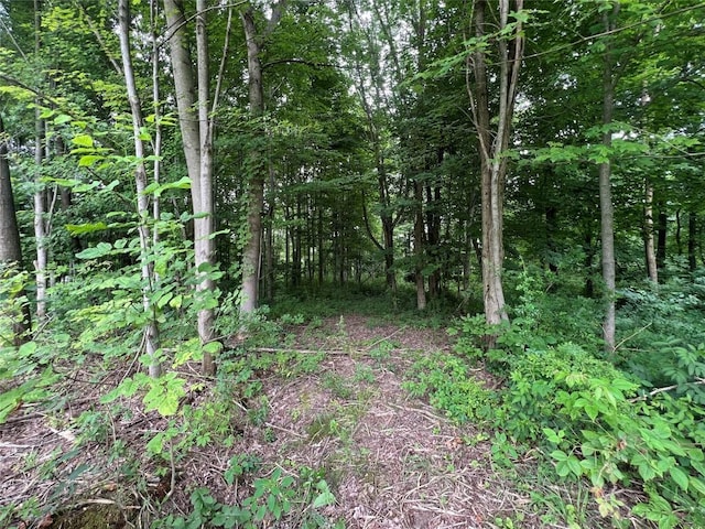 3/-ACRESON Phelps Rd, Linesville, PA 16424