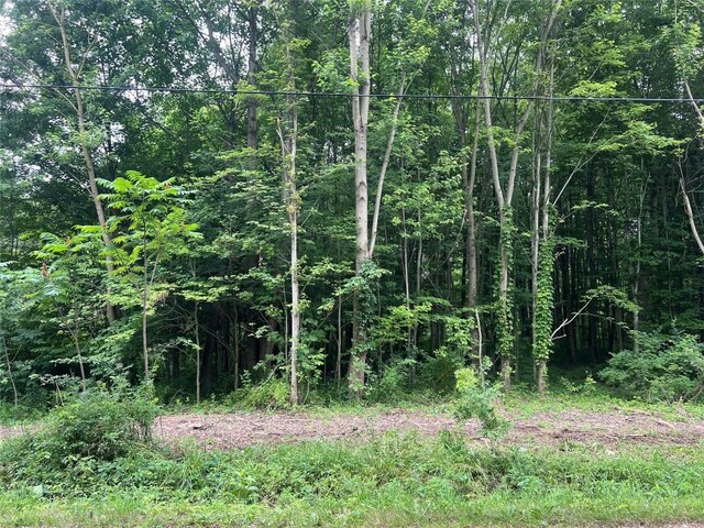 3/-ACRESON Phelps Rd, Linesville, PA 16424