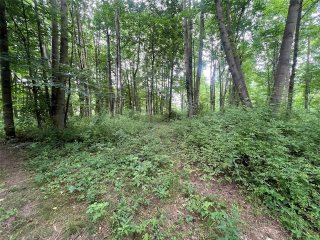 3/-ACRESON Phelps Rd, Linesville, PA 16424