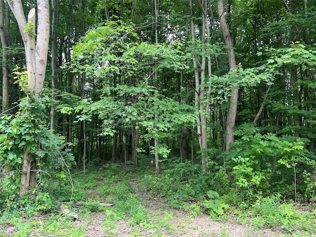 3/-ACRESON Phelps Rd, Linesville, PA 16424