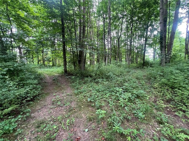 3/-ACRESON Phelps Rd, Linesville, PA 16424