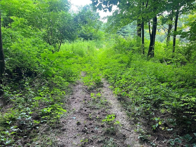 3/-ACRESON Phelps Rd, Linesville, PA 16424