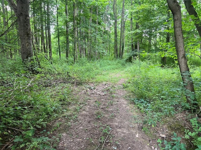3/-ACRESON Phelps Rd, Linesville, PA 16424
