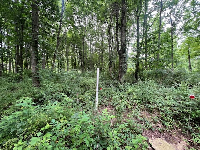 3/-ACRESON Phelps Rd, Linesville, PA 16424
