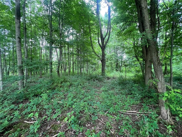 3/-ACRESON Phelps Rd, Linesville, PA 16424