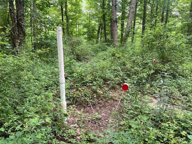 3/-ACRESON Phelps Rd, Linesville, PA 16424