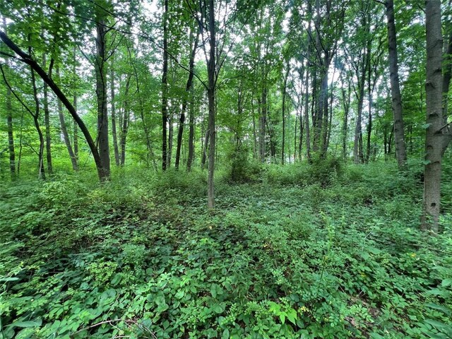 3/-ACRESON Phelps Rd, Linesville, PA 16424
