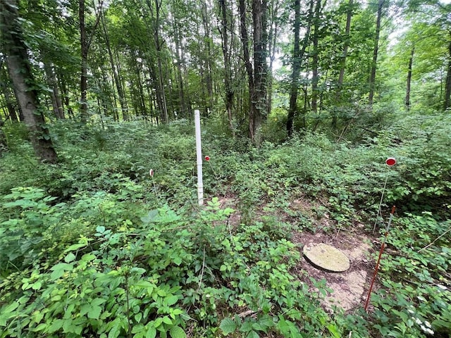 3/-ACRESON Phelps Rd, Linesville, PA 16424
