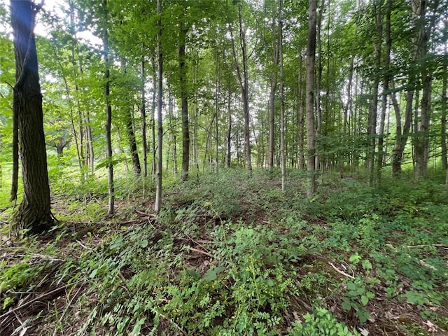 3/-ACRESON Phelps Rd, Linesville, PA 16424