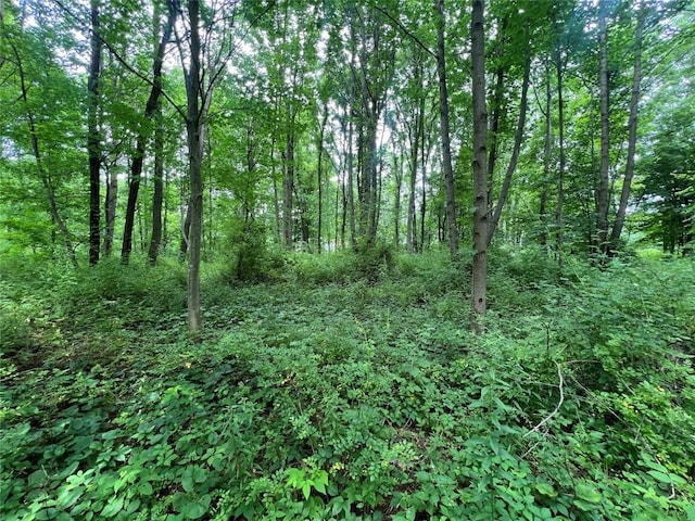 3/-ACRESON Phelps Rd, Linesville, PA 16424