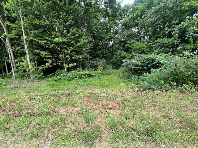 3/-ACRESON Phelps Rd, Linesville, PA 16424