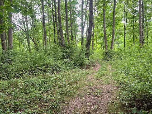 3/-ACRESON Phelps Rd, Linesville, PA 16424