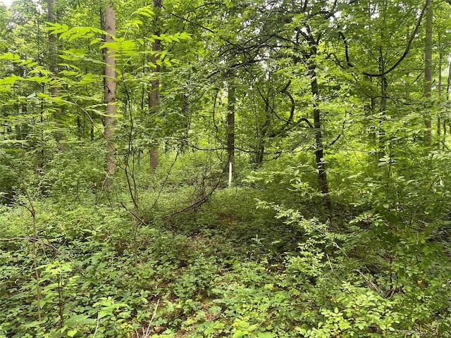 3/-ACRESON Phelps Rd, Linesville, PA 16424