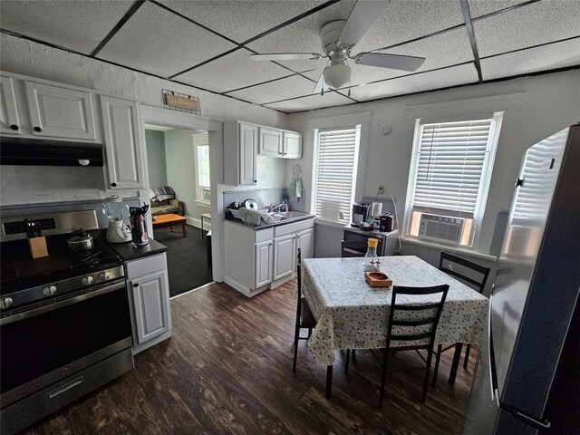 520 E 2nd St, Erie, PA 16507 - kitchen with appliances with stainless steel finishes, under cabinet range hood, a paneled ceiling, ceiling fan, and dark wood finished floors