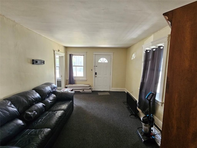520 E 2nd St, Erie, PA 16507 - living room featuring dark colored carpet