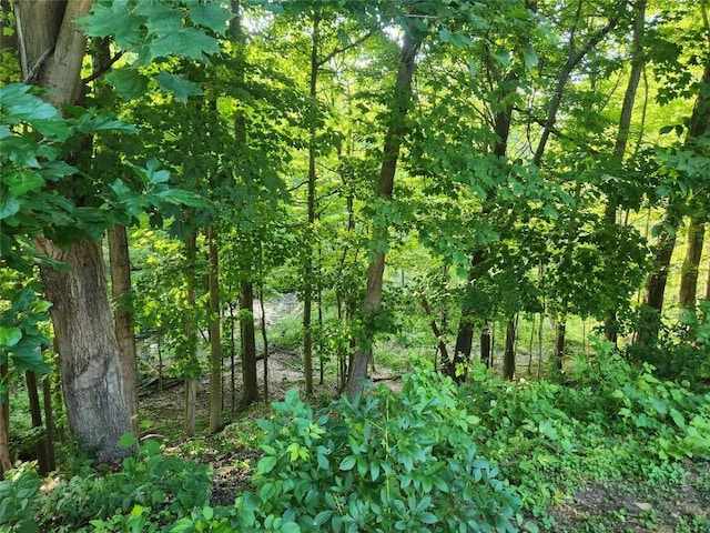 1370 Avonia Rd, Fairview, PA 16415 - photo 15