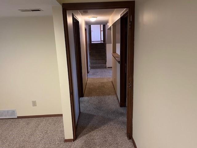 hallway featuring carpet floors