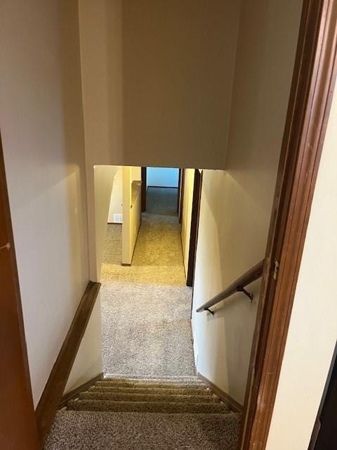 stairway with carpet flooring