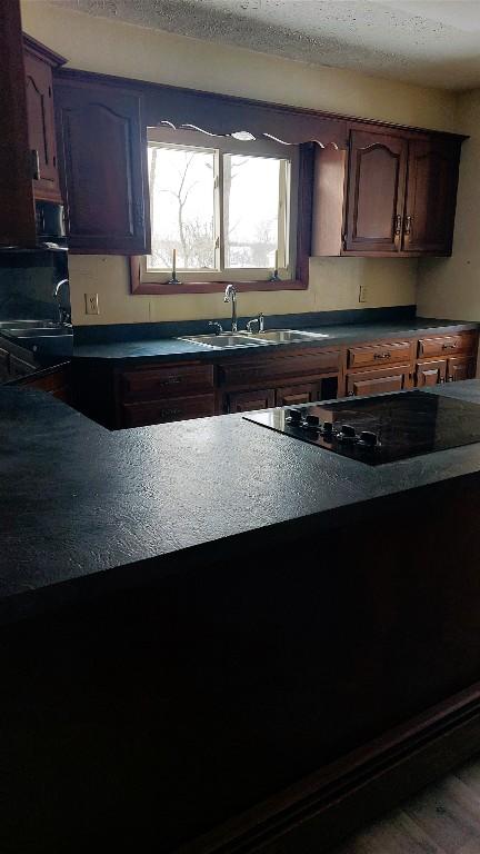 kitchen with hardwood / wood-style floors, black stovetop, and sink