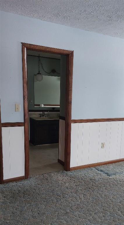 spare room featuring a wainscoted wall, a textured ceiling, carpet flooring, and a sink