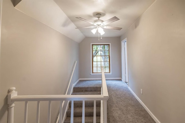 stairs with carpet, vaulted ceiling, and ceiling fan