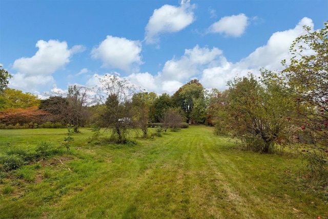 view of local wilderness with a rural view