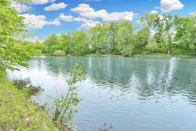 22080 Merganser Ln, Cochranton, PA 16314 - water view featuring a forest