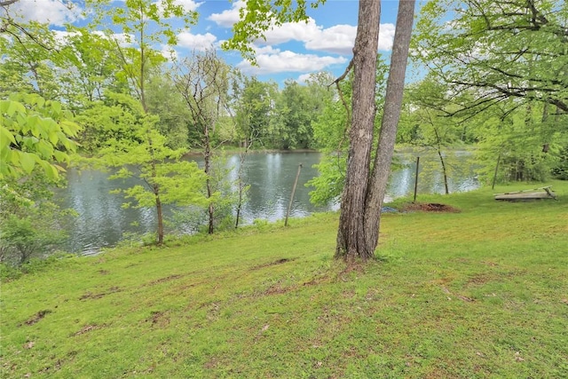 22080 Merganser Ln, Cochranton, PA 16314 - water view
